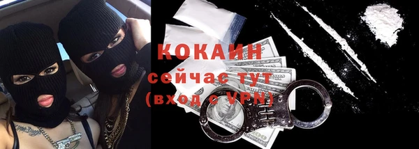 шишки Наволоки