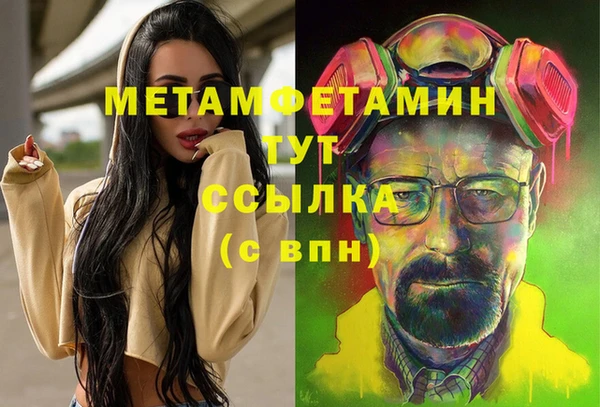 шишки Наволоки