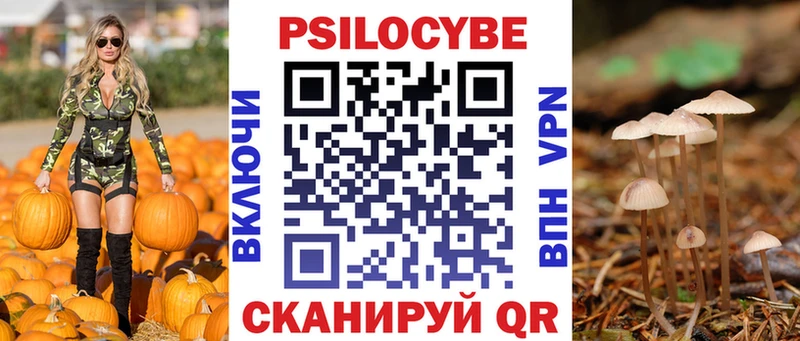 Псилоцибиновые грибы GOLDEN TEACHER  Нахабино 